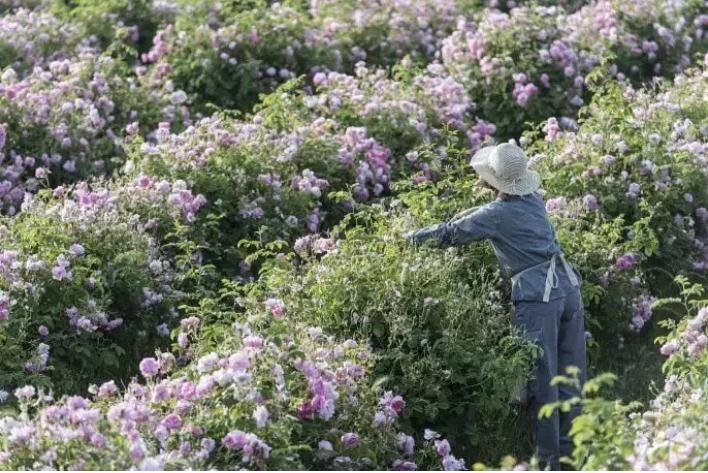 1663150500606336.png 16606477602221554.png