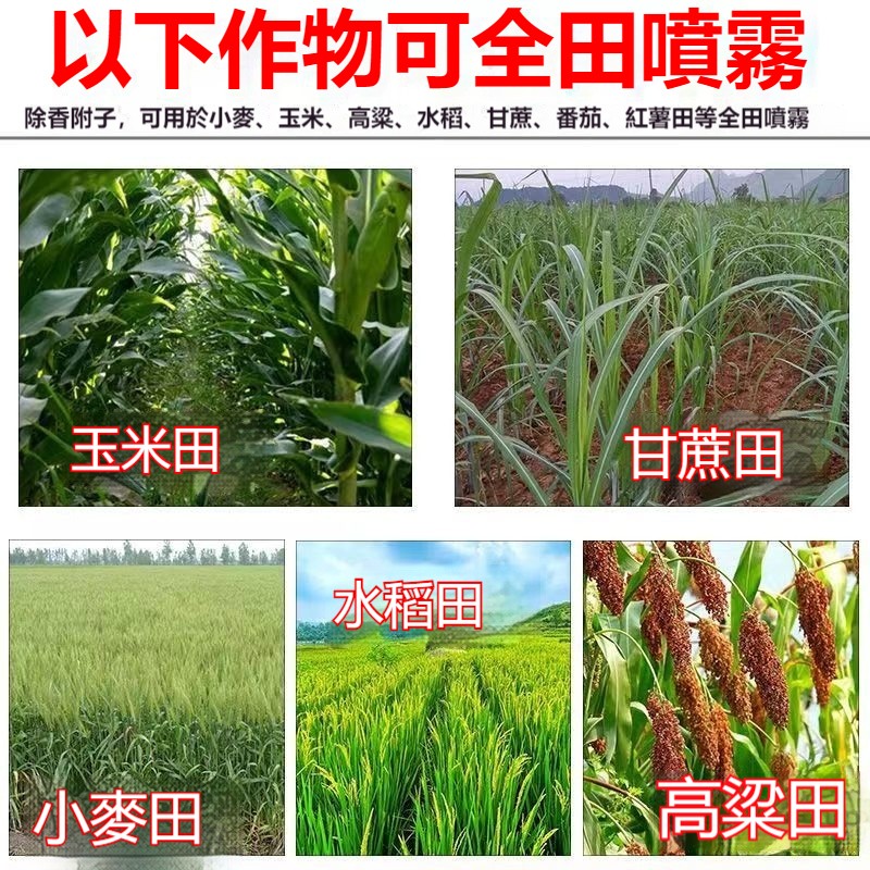 1749050863826984.jpg 6323f3bc0dce9f3baa1689b34070d22.jpg