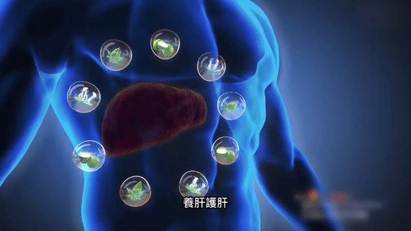 1754410477102037.gif 2.gif